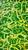 "Green Rooted in Sulfur" by Artist Michael DesRosiers Painting on MDF Panel (2026) For Sale