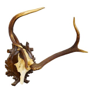 Abnorm Black Forest Red Deer Trophy on Carved Plaque Germany 1930s For Sale
