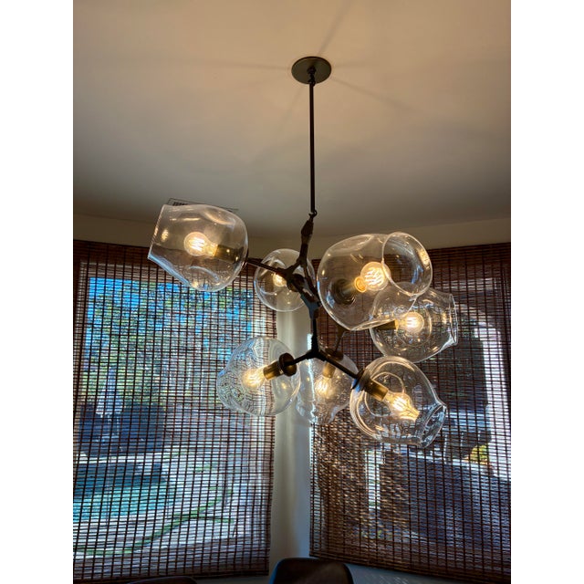 Authentic Branching Bubble chandelier by Lindsey Adelman Studio, one of the studio’s most iconic and enduring lighting...