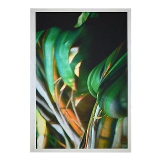 Tibor Gertler, No Title, Original Photograph by Nikhil Bhandari, 2008 For Sale