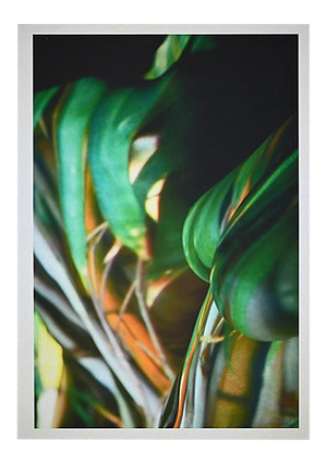 Tibor Gertler, No Title, Original Photograph by Nikhil Bhandari, 2008
