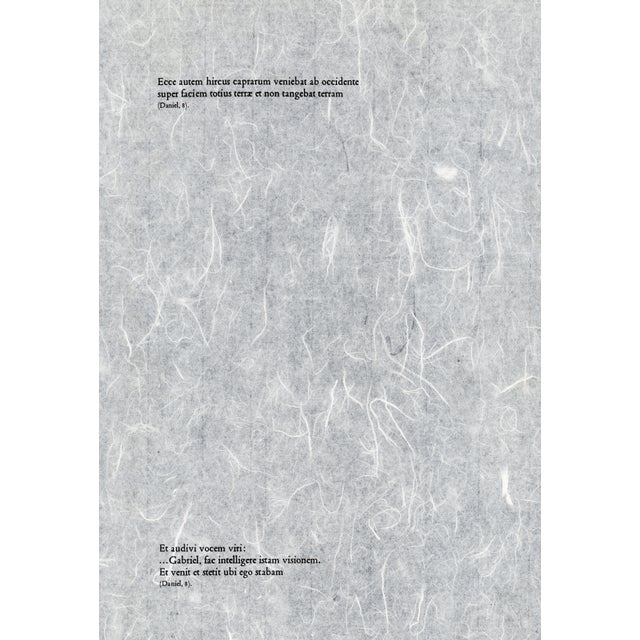 1960s 1968 Salvador Dalí Biblia Sacra Lithograph "Hircus Caprarum Super Faciem Terrae" (Male Goat Over the Face of the Earth) For Sale - Image 5 of 8