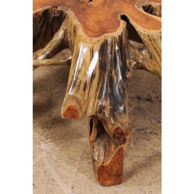 Mid 19th Century Organic Modern Tree Root Coffee Table For Sale - Image 10 of 12