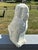 White 19th C. English Staffordshire Cavalier Spaniel - Large 12" Model For Sale - Image 8 of 9