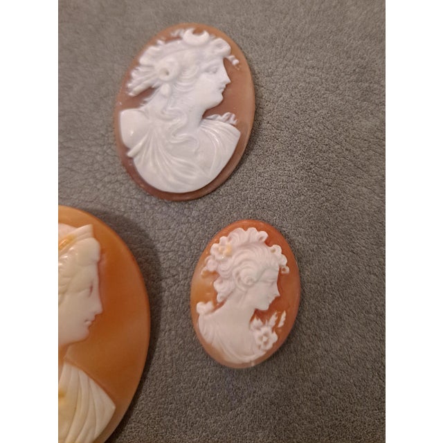 Group of 3 High Relief Cameos Carved from Bullmouth shell Large: 3.5mm x 4.5mm. Medium: 3.4mm x 3.4 x 2.6 Small: 8mm x 2.5mm