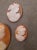 Group of 3 High Relief Cameos Carved from Bullmouth shell Large: 3.5mm x 4.5mm. Medium: 3.4mm x 3.4 x 2.6 Small: 8mm x 2.5mm