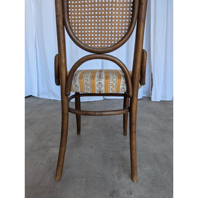 Vintage Bentwood Chair in Fabric and Cane Backrest, Yugoslavia, 1970s For Sale - Image 18 of 18