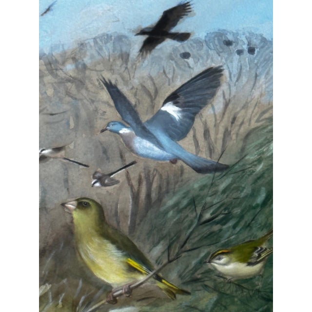 Wood A Winter Gathering: Robin and Mixed British Songbirds — Original Watercolor on Paper in the Tradition of Archibald Thorburn For Sale - Image 7 of 18