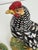 Mid-Century Modern Italian Farmhouse Pottery Chickens, 1960s, Set of 2 For Sale - Image 6 of 14