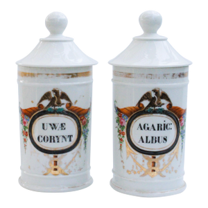 19th Century Neoclassical Apothecary Jars - Set of 2