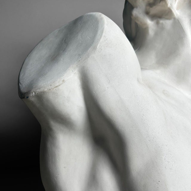 Plaster Bust of Laocoön, 1960s For Sale - Image 11 of 18