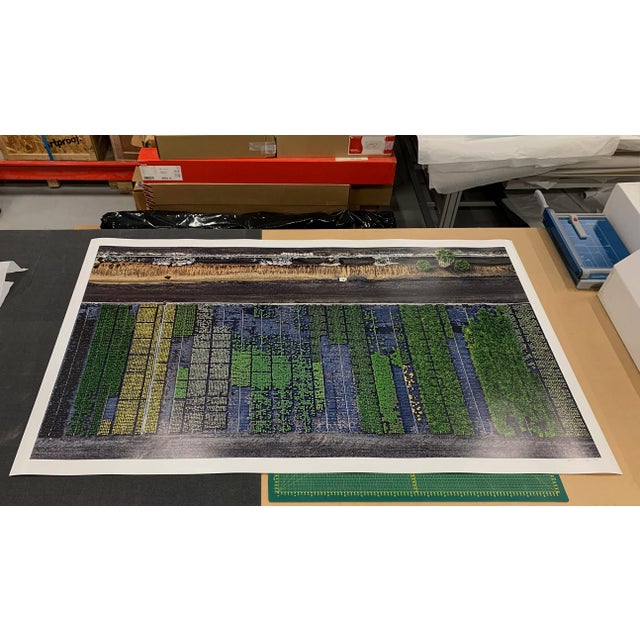 Contemporary "AV_California_Plants_007" Contemporary Limited Edition Fine Art Photograph by Bernhard Lang For Sale - Image 3 of 5