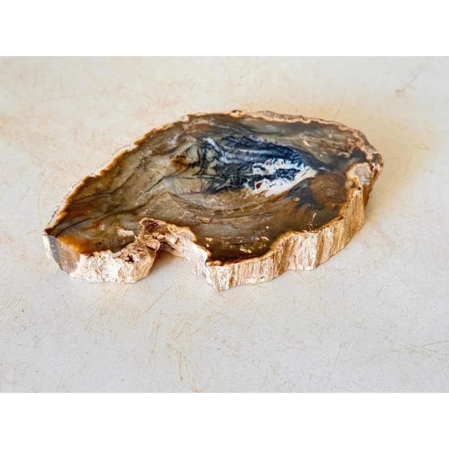 1960s Twisted Agate Ashtray, 1960 For Sale - Image 5 of 8