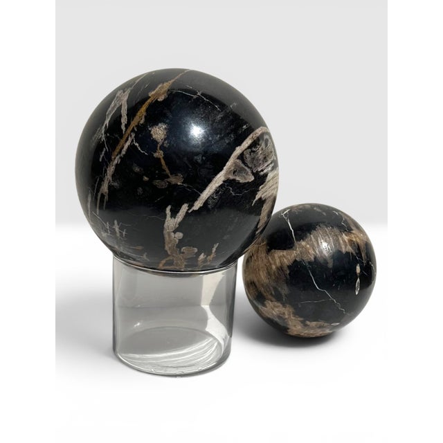 Contemporary Two Polished Petrified Wood Organic Spheres. For Sale - Image 3 of 10