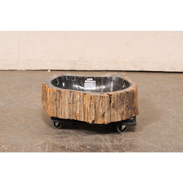 Live Edge Petrified Wood Sink, Black & Tan For Sale - Image 9 of 10