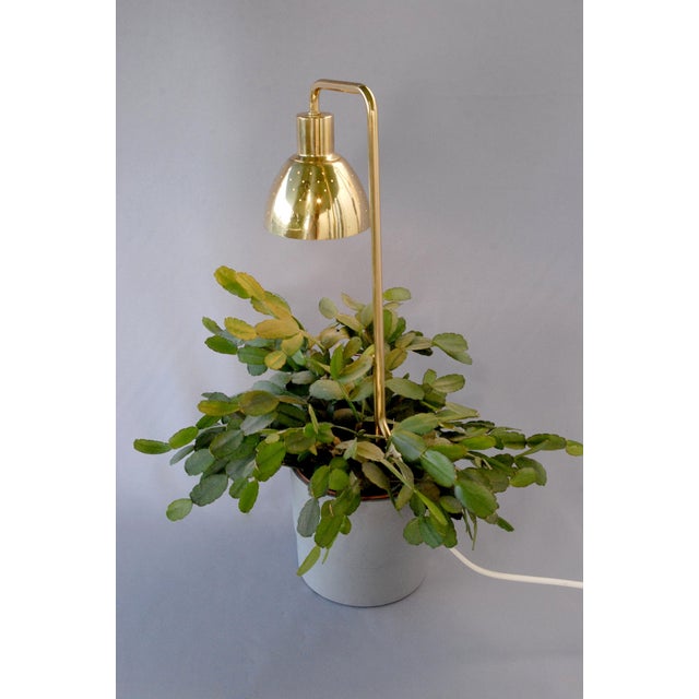 Model G98 Flower Lamp by Hans-Agne Jakobsson for HAJ Markaryd, 1960s For Sale - Image 4 of 14