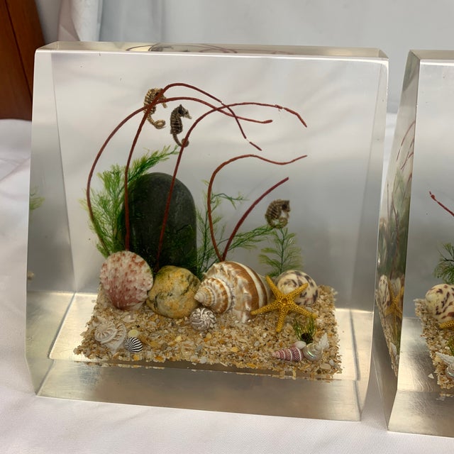 vintage Lucite / resin marine diorama blocks. These mid-century collectibles typically feature real seashells, starfish, a...