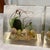 vintage Lucite / resin marine diorama blocks. These mid-century collectibles typically feature real seashells, starfish, a...