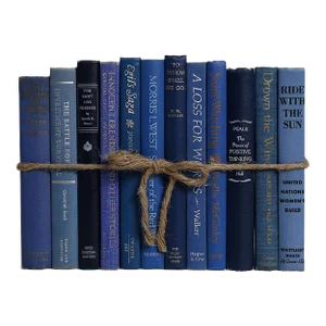 Decorative Books - Vintage Denim Book Bundle - 1 Foot of Blue Books