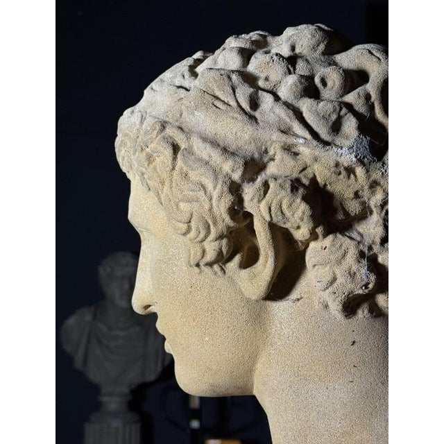 Unknown, Antinous Bust on pedestal, 20th Century, Stone For Sale - Image 12 of 18