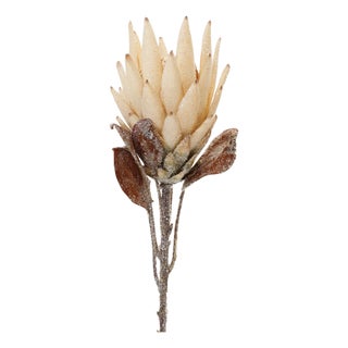 Beige Protea Flower Stem (Set of 2) For Sale