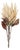 Beige Protea Flower Stem (Set of 2) For Sale