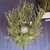 Michael Arams Beaded Grass Votives - Set of 2 with boxes For Sale In Phoenix - Image 6 of 9