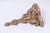 1950s Pair Italian Gilt Wood Gold Finish Wall Bracket Shelves For Sale - Image 5 of 12