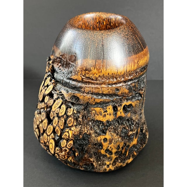Early 21st Century Small Brutalist Style Burlwood Vase or Pencil Cup by ...