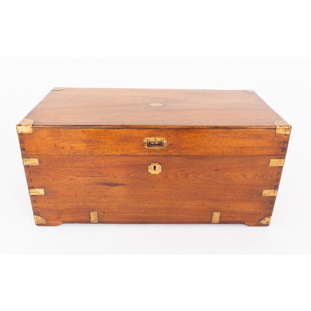 Wood Antique Campaign Military Trunk in Camphor Wood, 1860 For Sale - Image 7 of 7
