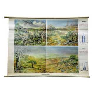 Vintage Cottage Core Africa Savanna Landscape Weather Seasons Rollable Wall Chart For Sale