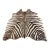 5ft 1in × 5ft 8in Zebra Printed Hair on Hide Area Rug For Sale