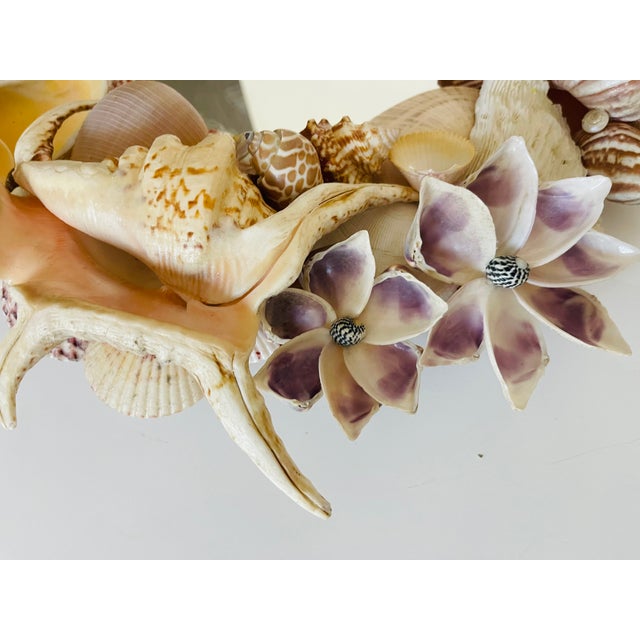 Coastal Fabulous Sea Shell Oval Mirror For Sale - Image 3 of 5