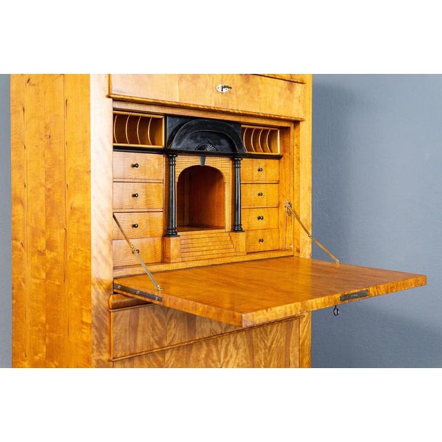Biedermeier Birch & Elm Secretary For Sale - Image 18 of 18