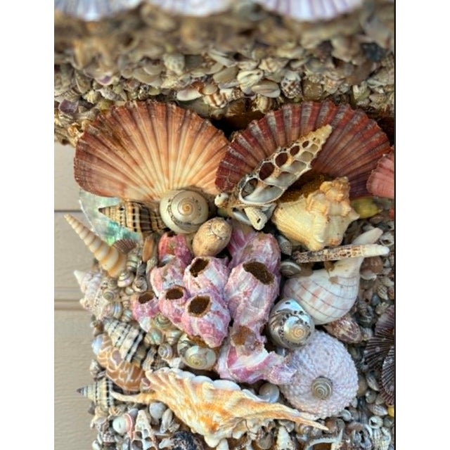 Seashell Encrusted Fireplace Surround and Mantel For Sale - Image 15 of 18