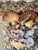 Seashell Encrusted Fireplace Surround and Mantel For Sale - Image 15 of 18