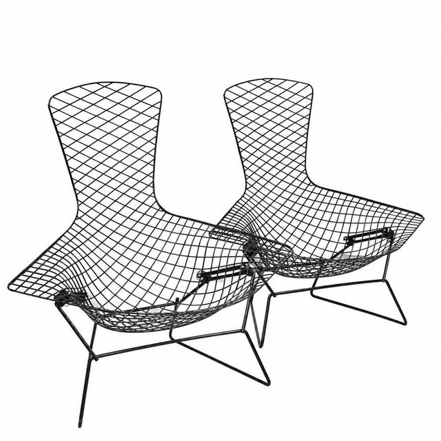 Bird Chairs by Harry Bertoia for Knoll, 1950s, Set of 2 For Sale - Image 15 of 15
