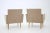Set of Mid-Century Minimalist Armchairs, Czechoslovakia For Sale - Image 4 of 9