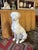 1970s Vintage Italian Midcentury Style Life-Size Ceramic Greyhound Dog For Sale - Image 5 of 12