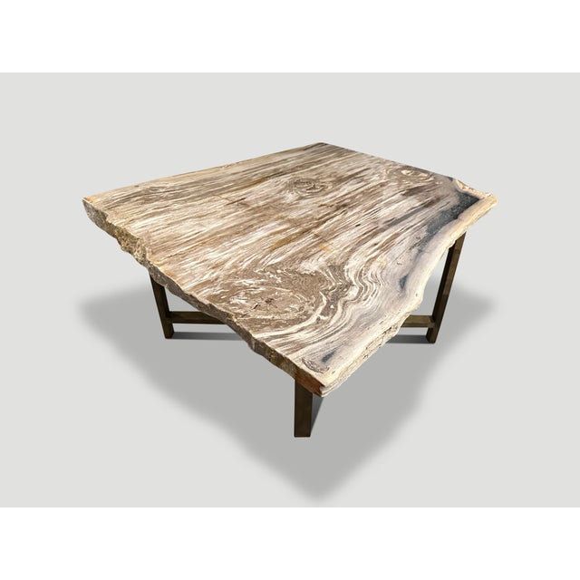 Brown Andrianna Shamaris Live Edge Petrified Wood Coffee Table For Sale - Image 8 of 18