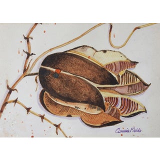 Vintage Seed Pod Watercolor Painting For Sale