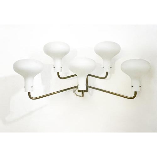 Mid-Century LP12 Wall Lights attributed to Ignazio Gardella for Azuzena, 1960s, Set of 2 For Sale - Image 17 of 18