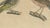 19th Century Bertuch, Goldcrest and Firecrest with Songbirds, 1820, Print For Sale - Image 5 of 12