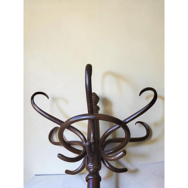 Parrot Coat Rack by Michael Thonet for Thonet, 1950s For Sale - Image 6 of 10