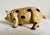 Figurative Antique Hand Painted Cast Iron Pig Figurine For Sale - Image 3 of 11