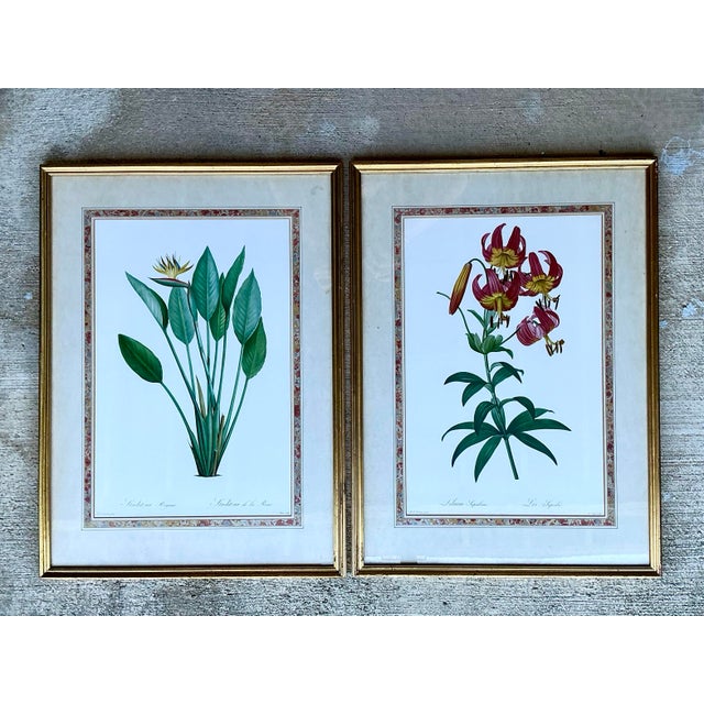 Vintage Ehret Botanical Prints - Set of 2 For Sale - Image 12 of 12