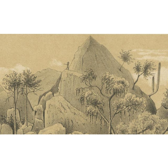 Antique Landscape Illustration of Christoffelberg Curaçao Summit Ascent, 1888 For Sale - Image 3 of 10