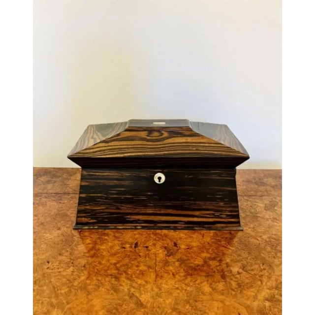 Regency Coromandel Wood Tea Caddy, 1830s For Sale - Image 10 of 10