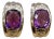 6 Carat Amethyst and Diamond 14 Karat White Gold Earrings, Omega Back For Sale