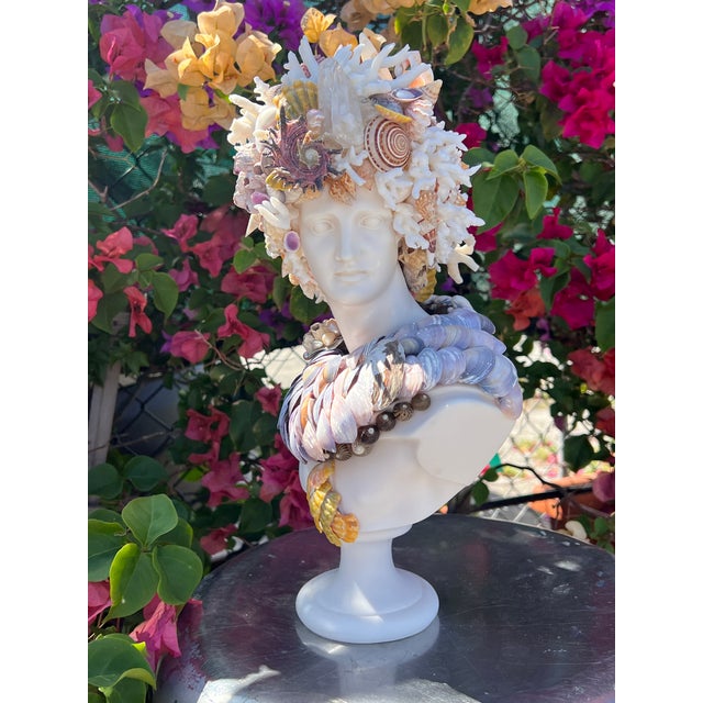 White CSS 15" Seashell Apollo Bust For Sale - Image 8 of 8
